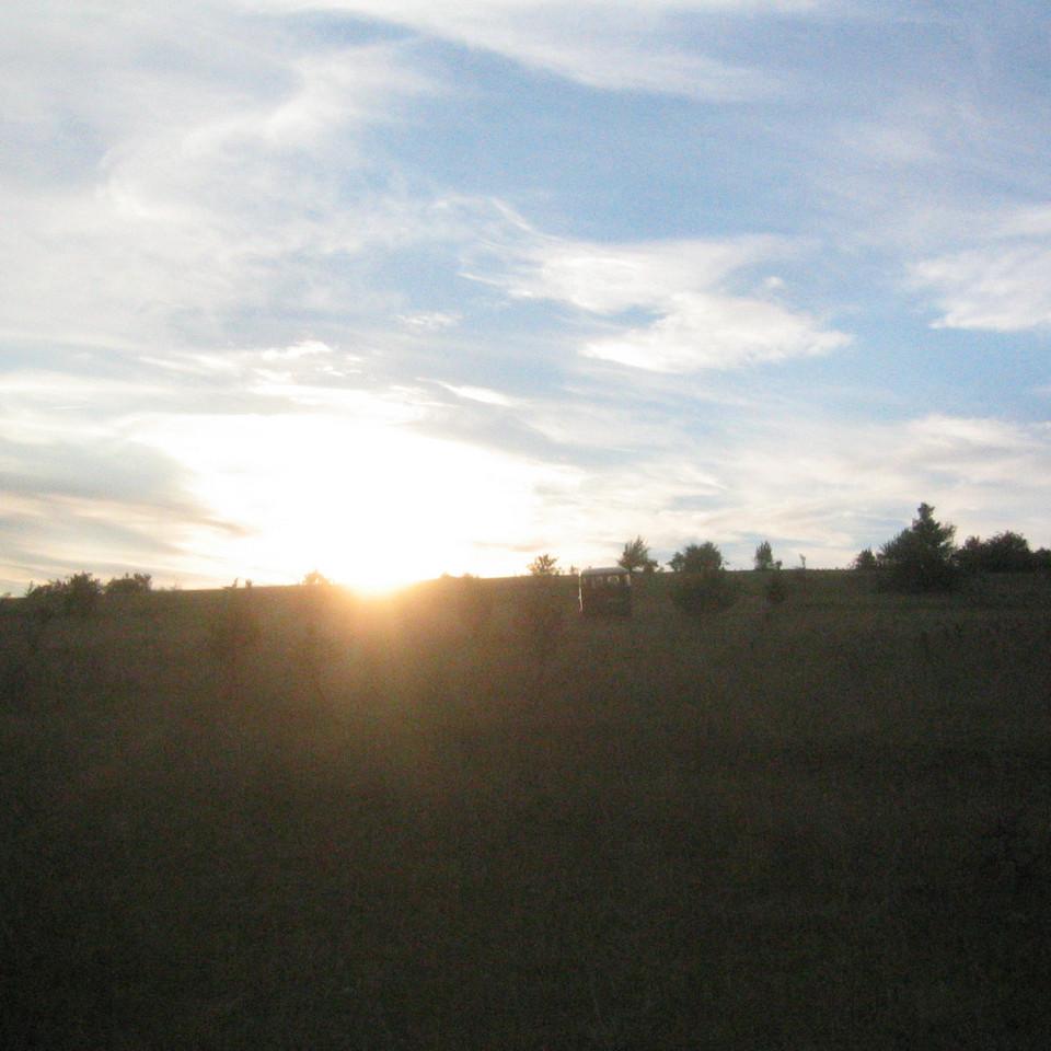 173.JPG