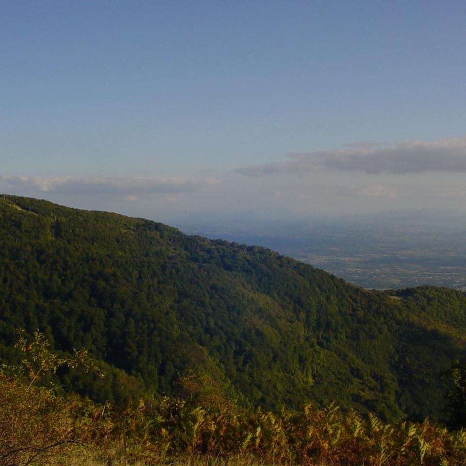 181.JPG