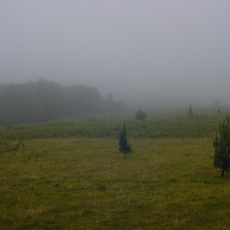 209.JPG