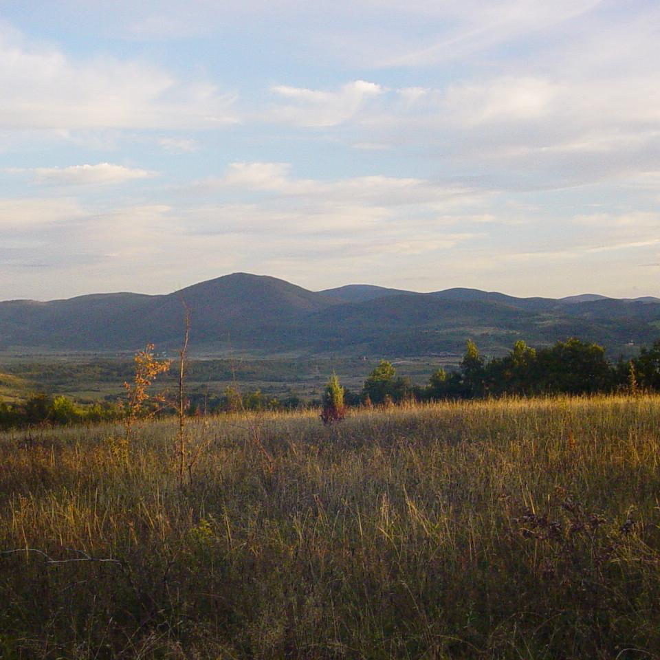 212.JPG