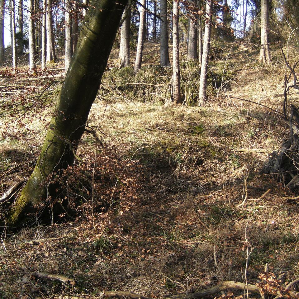 115.JPG