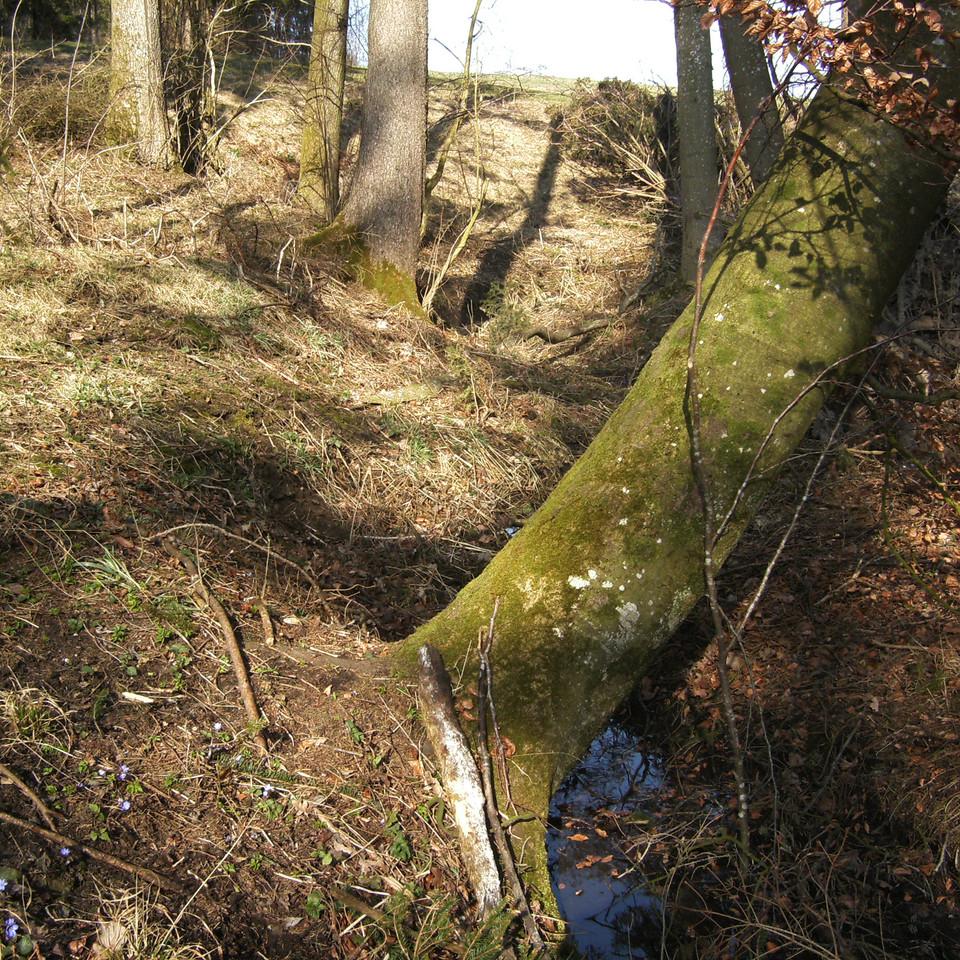 117.JPG
