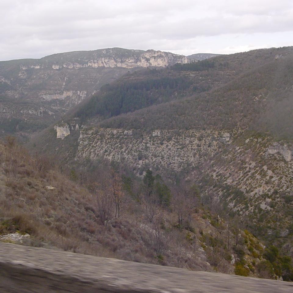 135.JPG