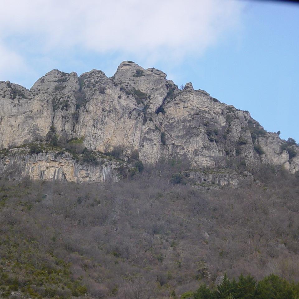 142.JPG