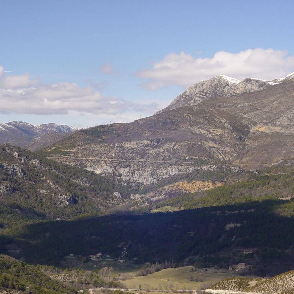 197.JPG