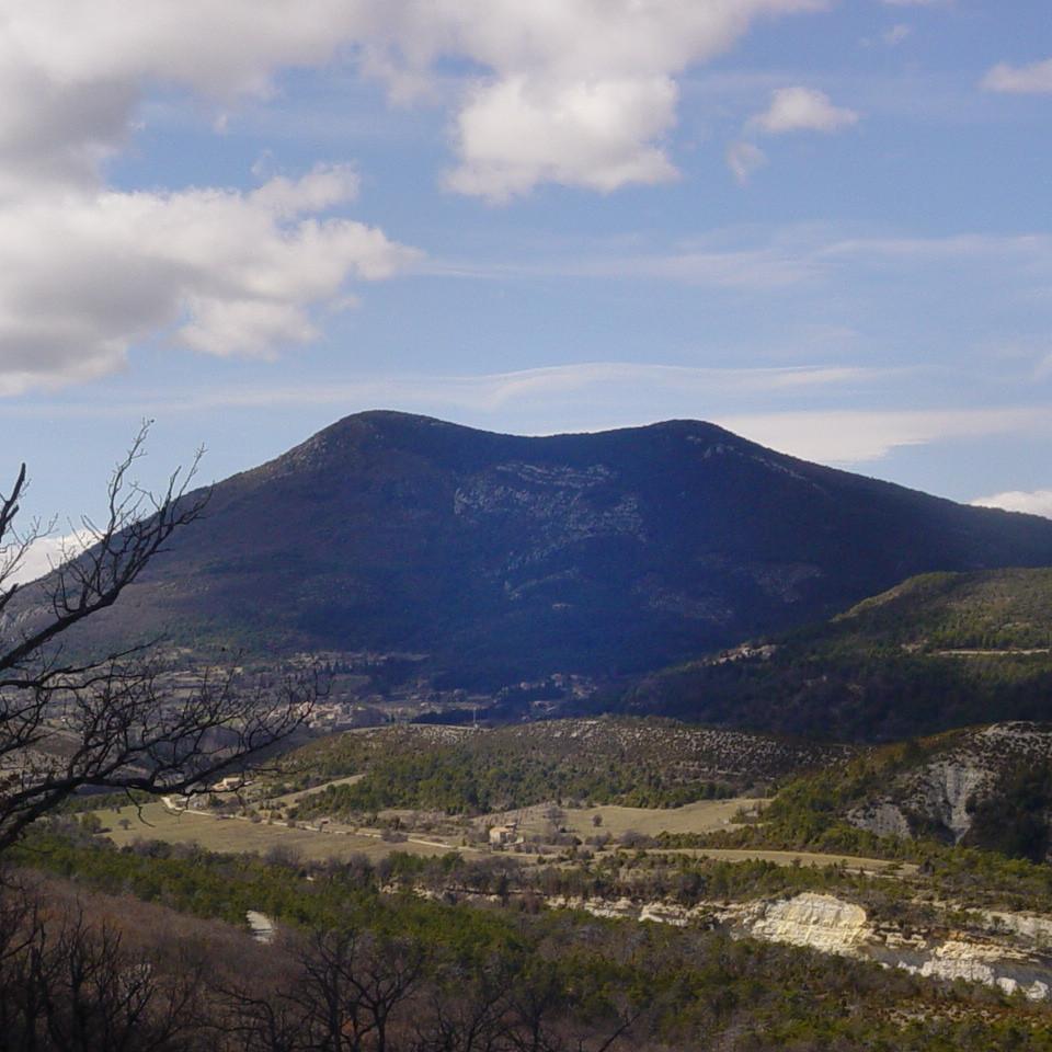 199.JPG