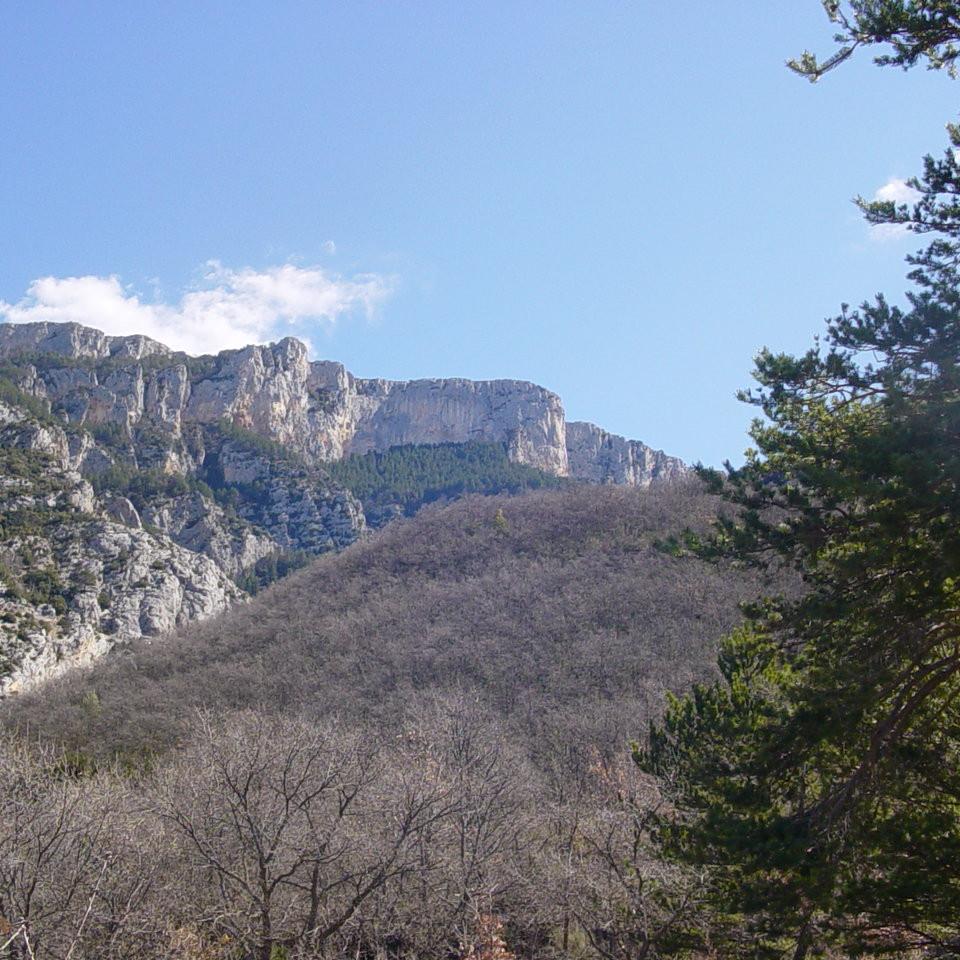 209.JPG