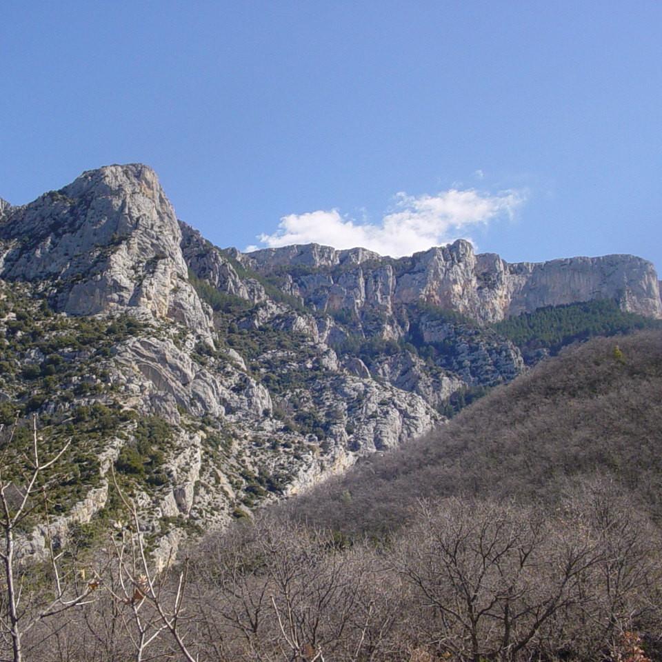210.JPG