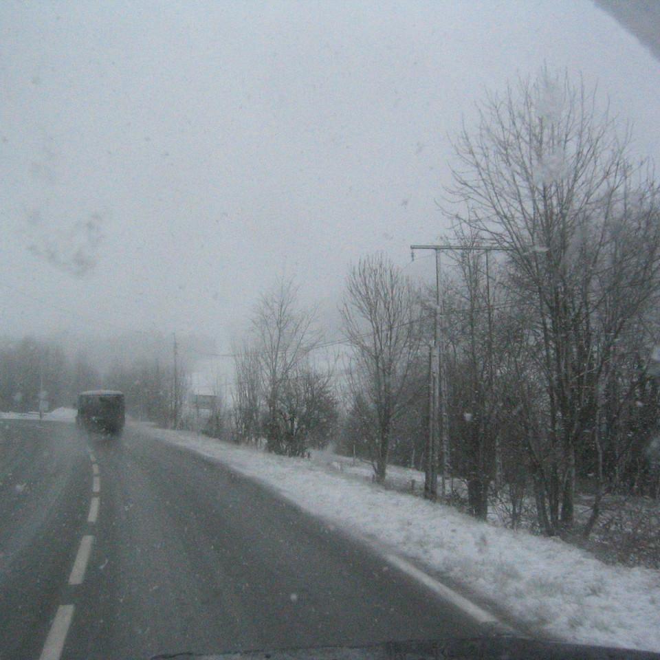 119.jpg