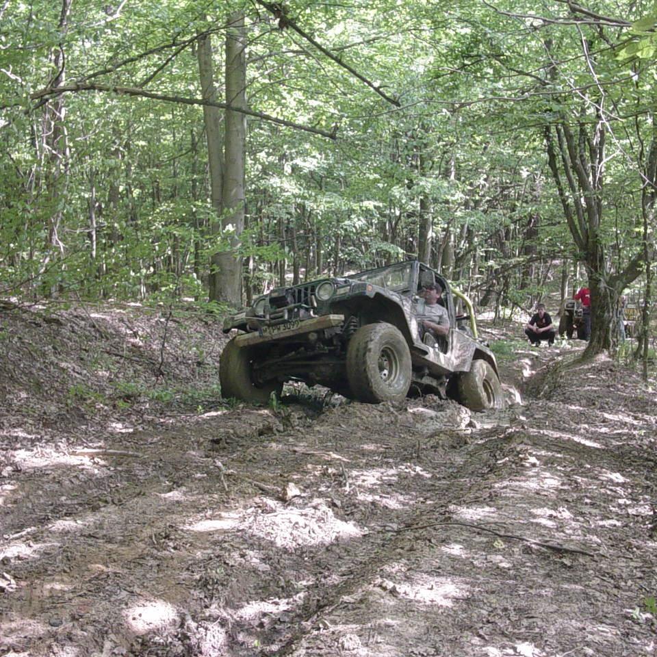 119.JPG