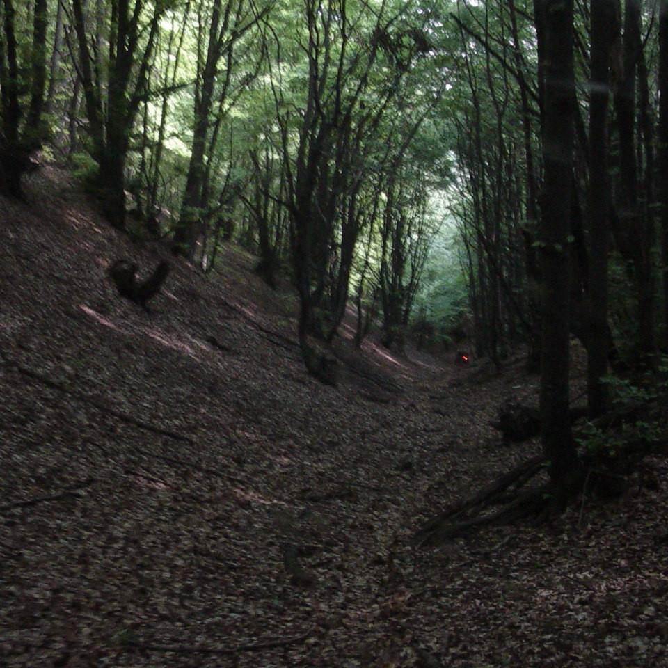 145.JPG
