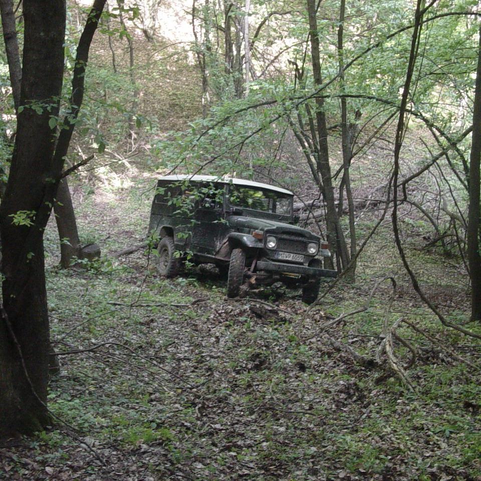165.JPG