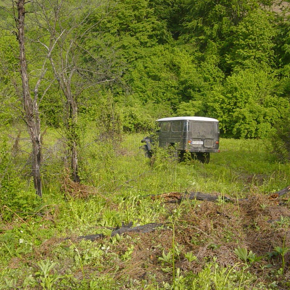 206.JPG