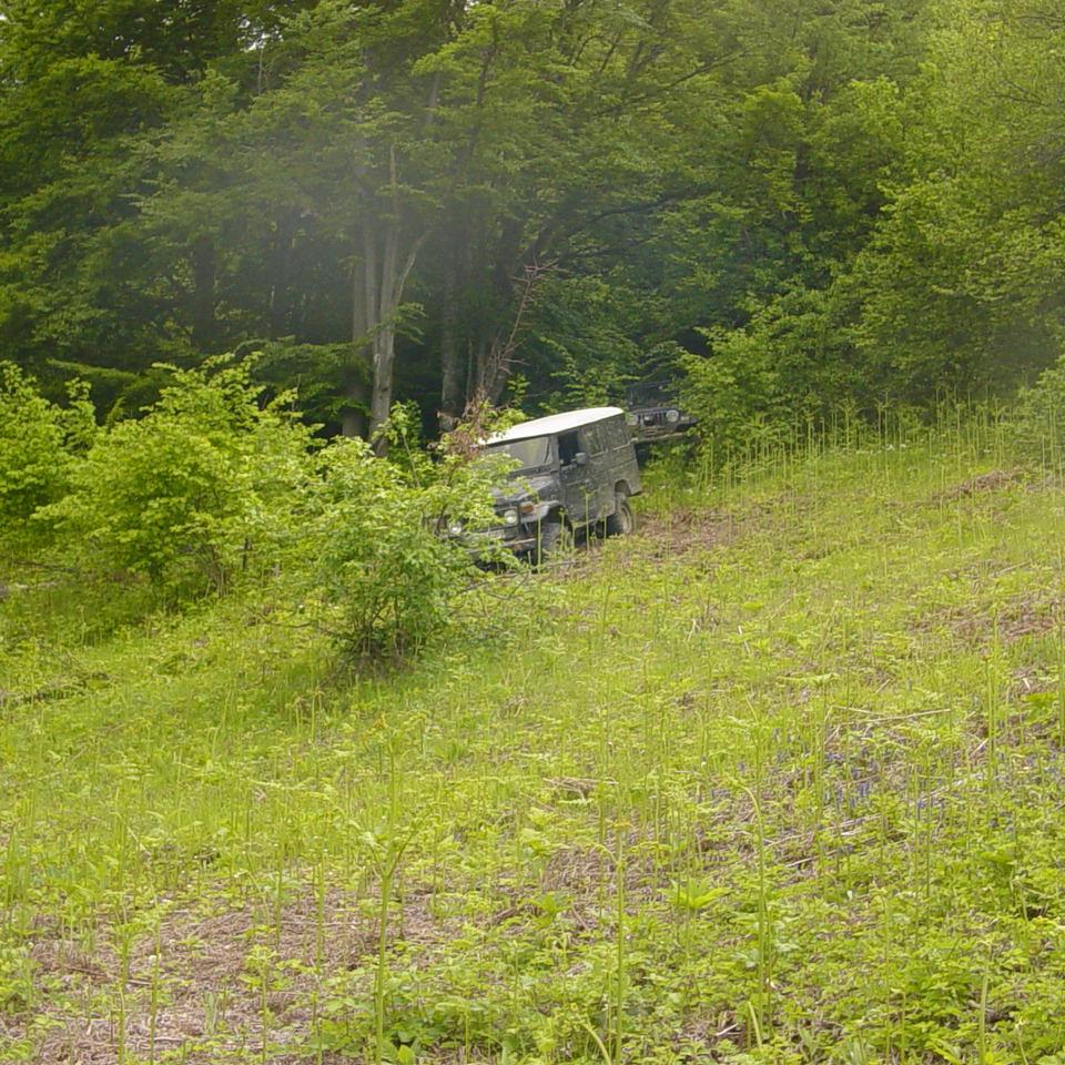 220.JPG