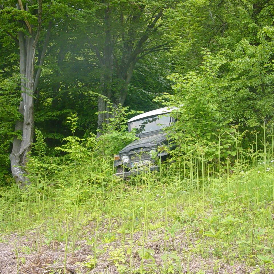 223.JPG