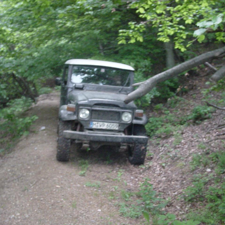 228.JPG