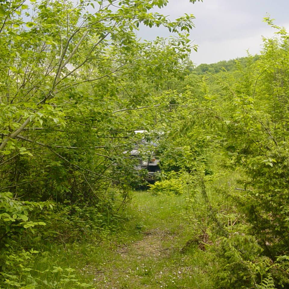 230.JPG
