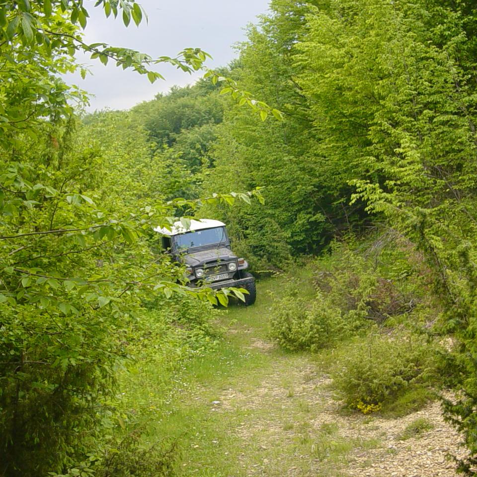 232.JPG
