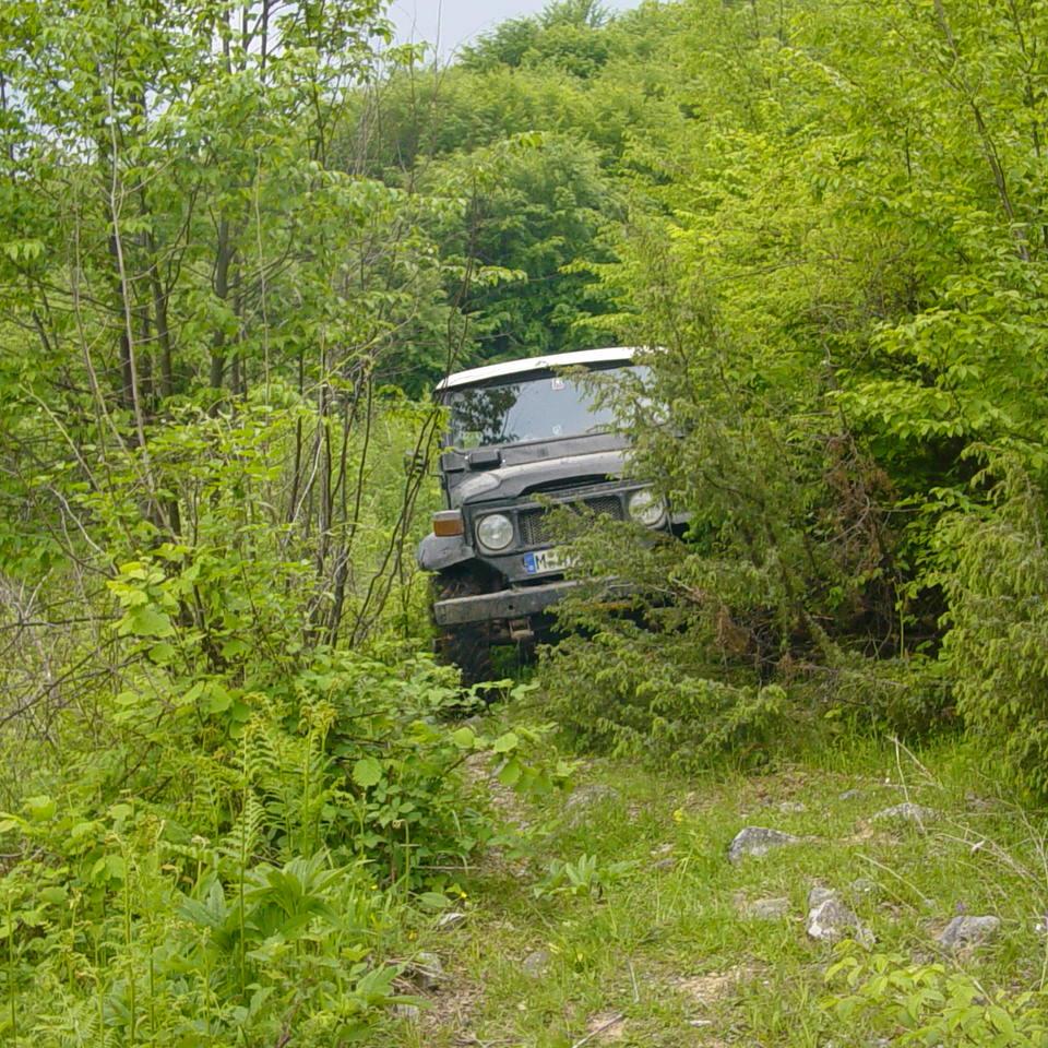 233.JPG