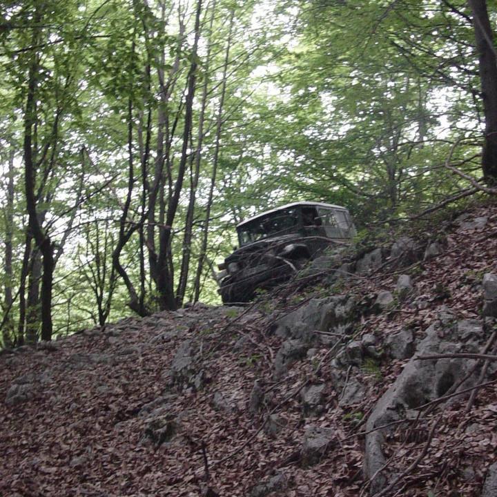 245.JPG