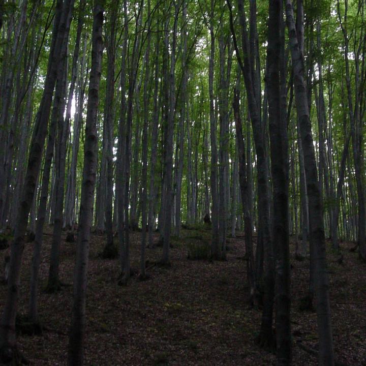 251.JPG