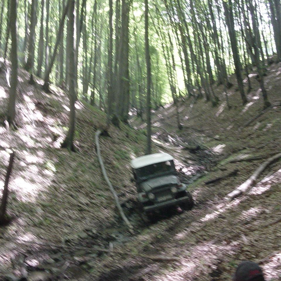 270.JPG