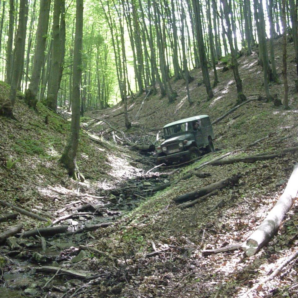271.JPG