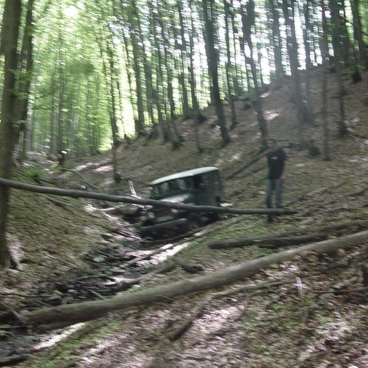 279.JPG