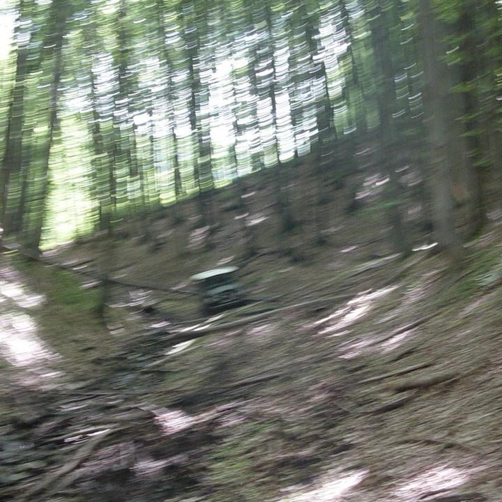 280.JPG