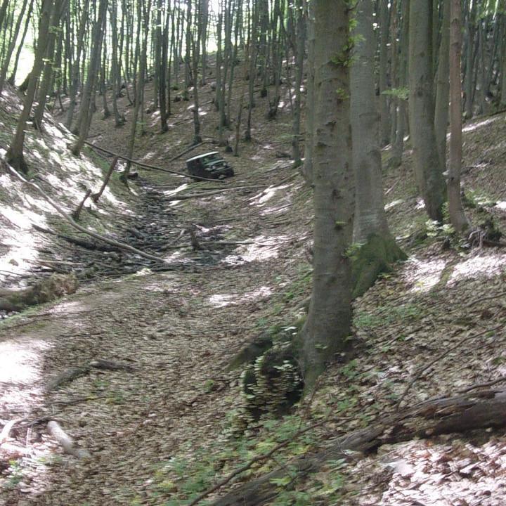 281.JPG