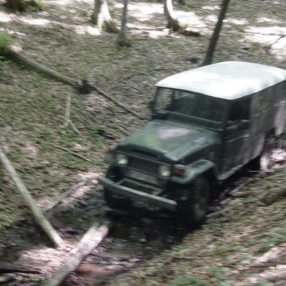 287.JPG