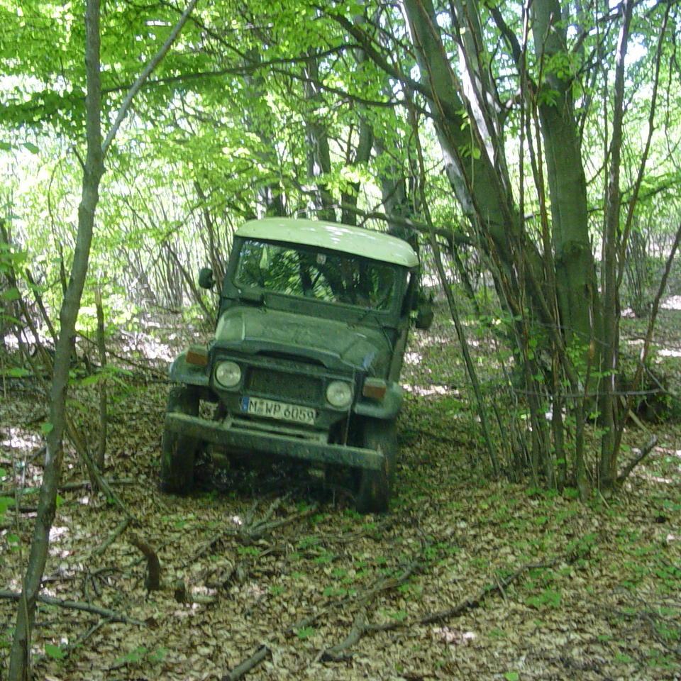 315.JPG