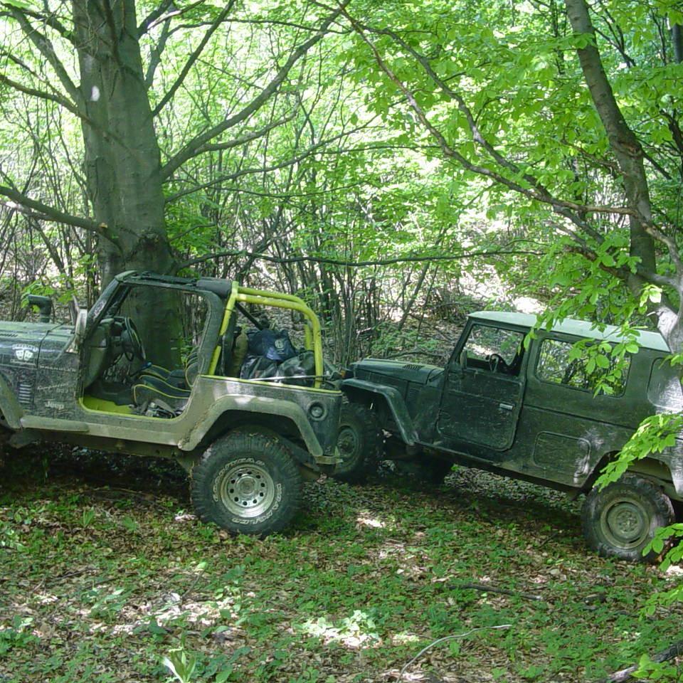 317.JPG