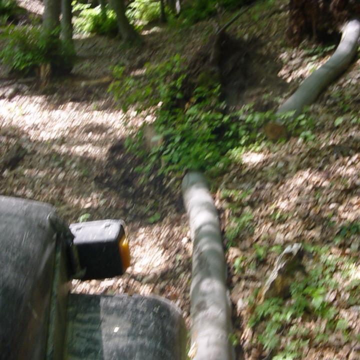 319.JPG