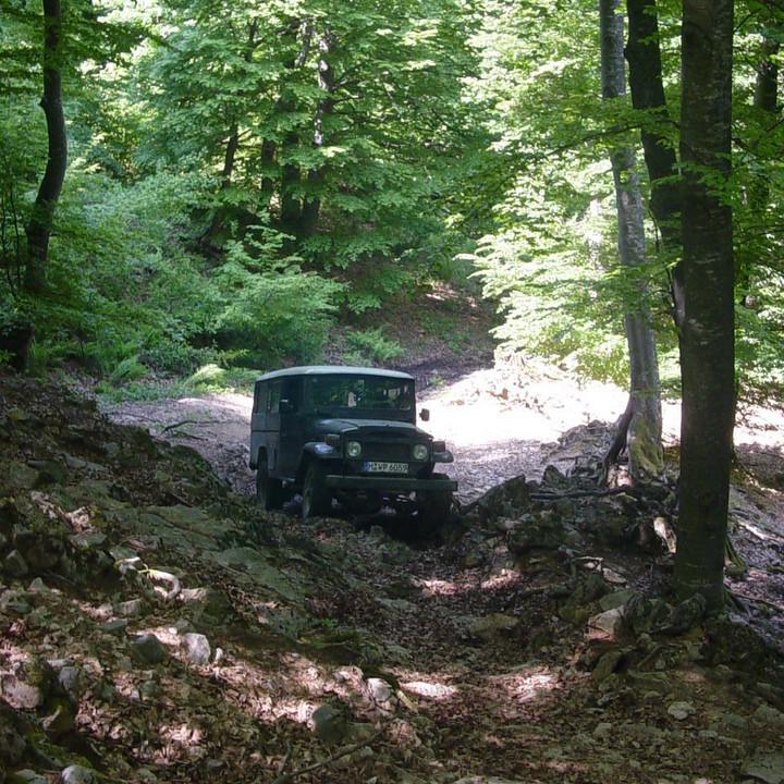 335.JPG