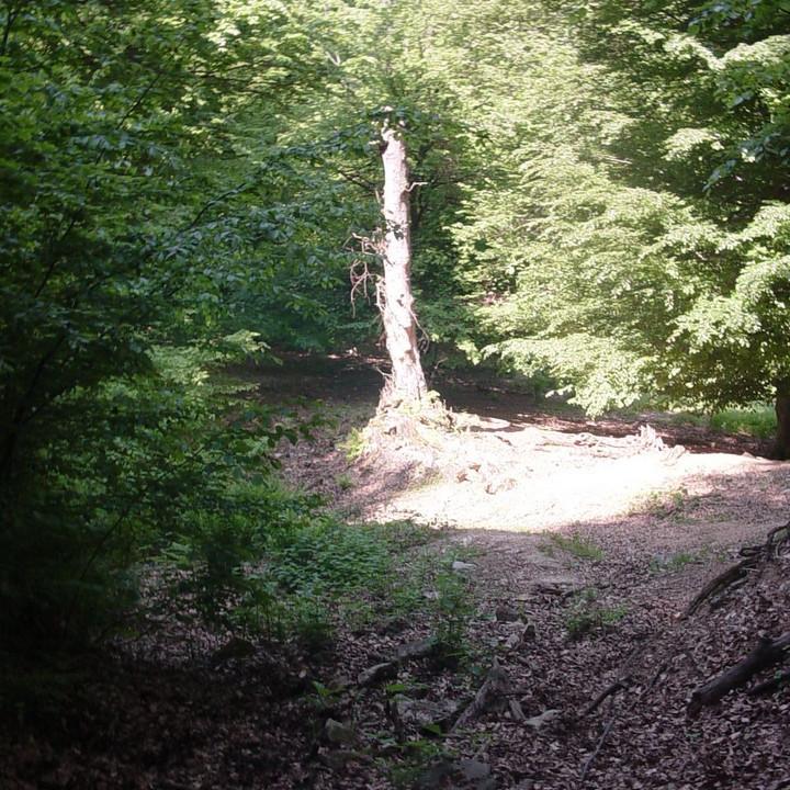 348.JPG
