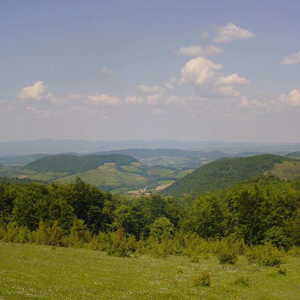 371.JPG