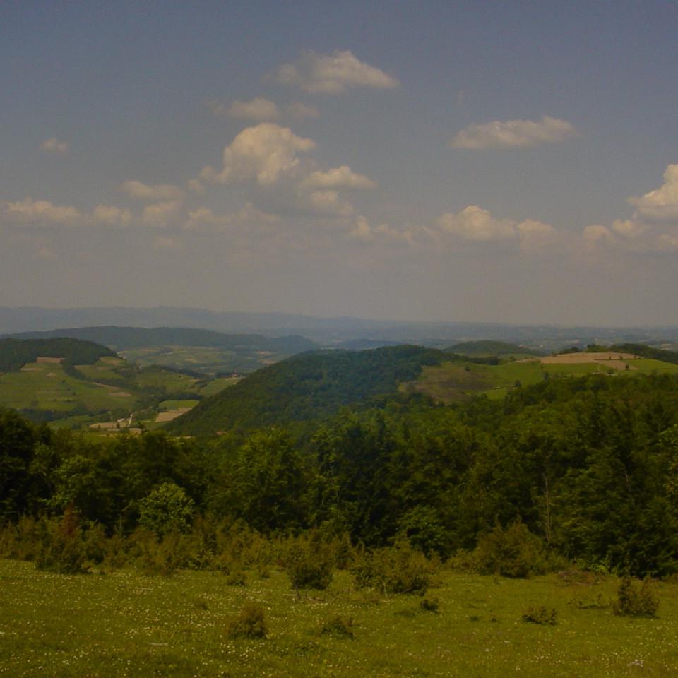 373.JPG