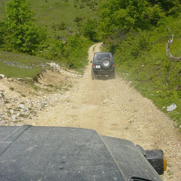 375.JPG