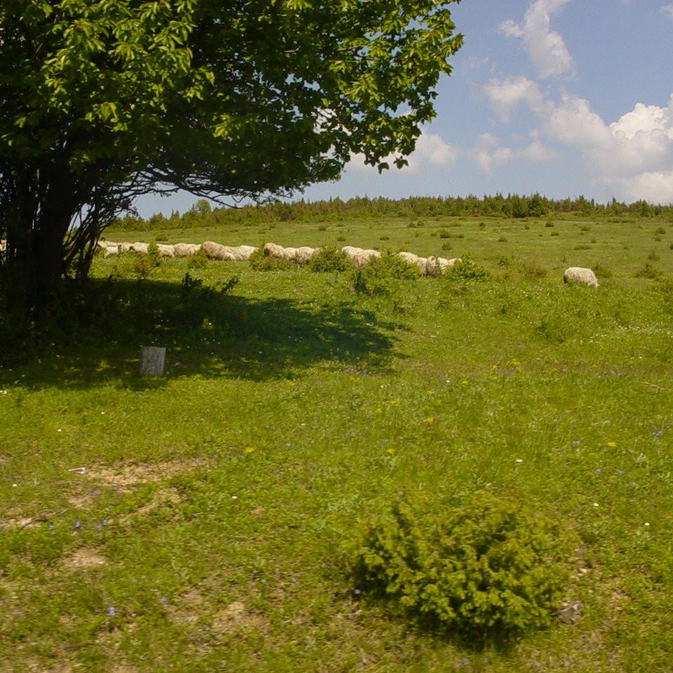 376.JPG