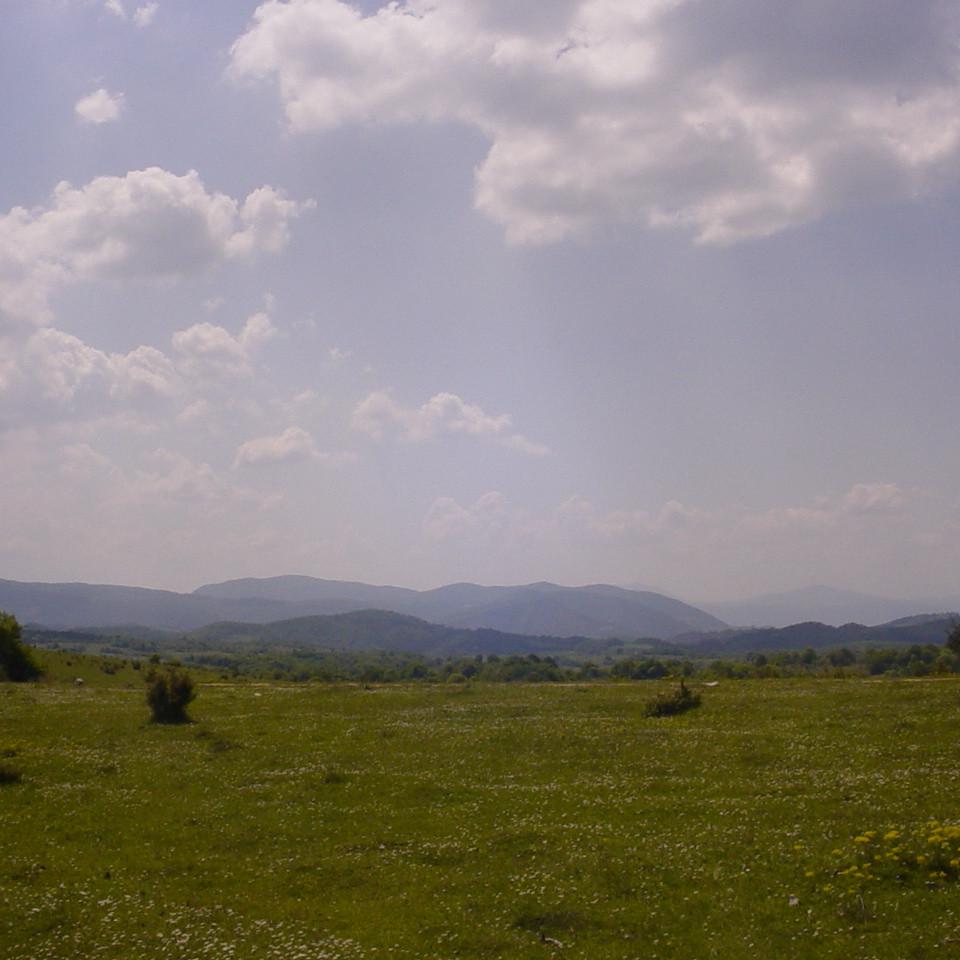 380.JPG