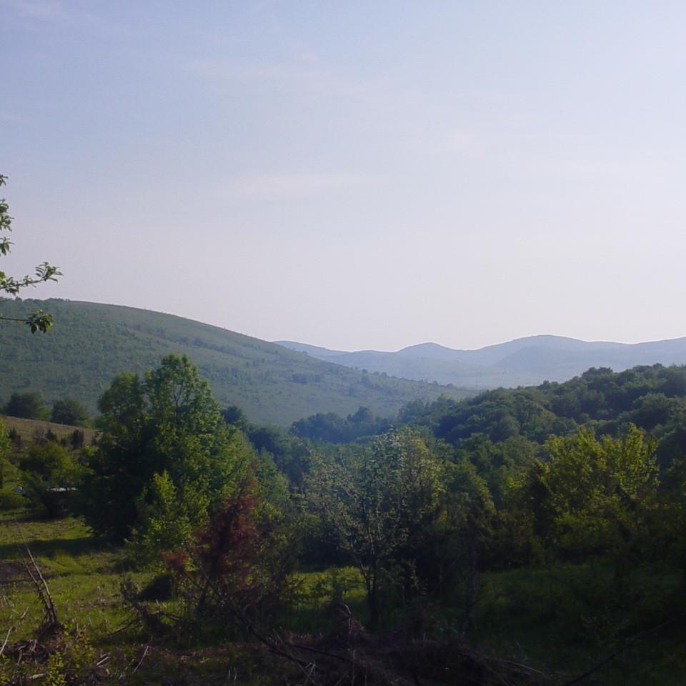 395.JPG