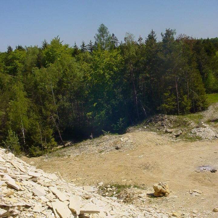 131.JPG