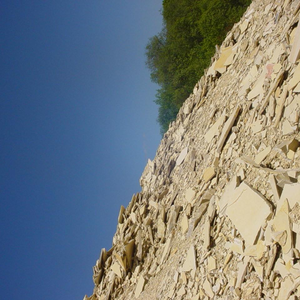 133.JPG