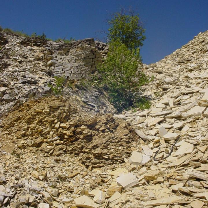 144.JPG