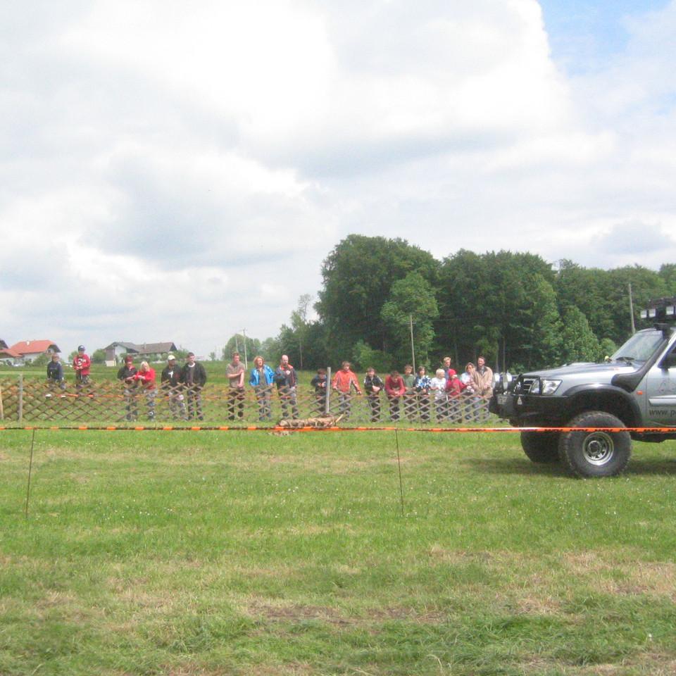 114.JPG