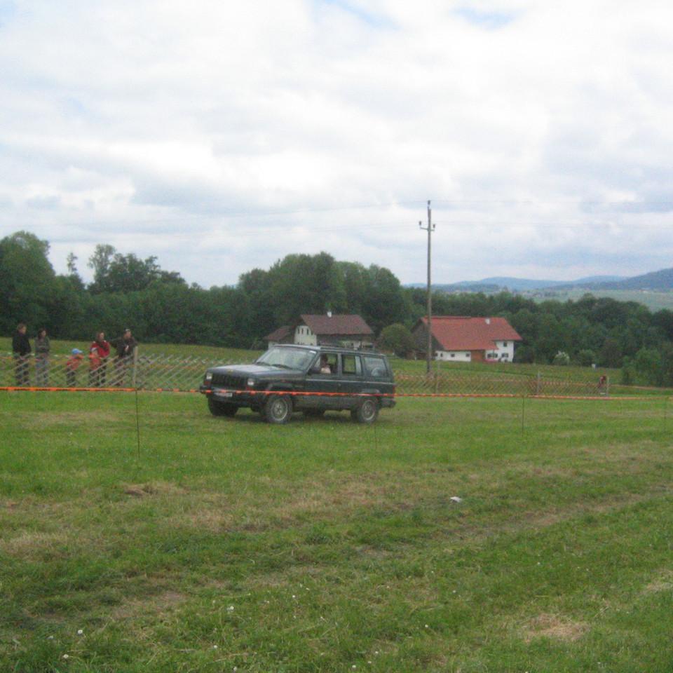 113.JPG