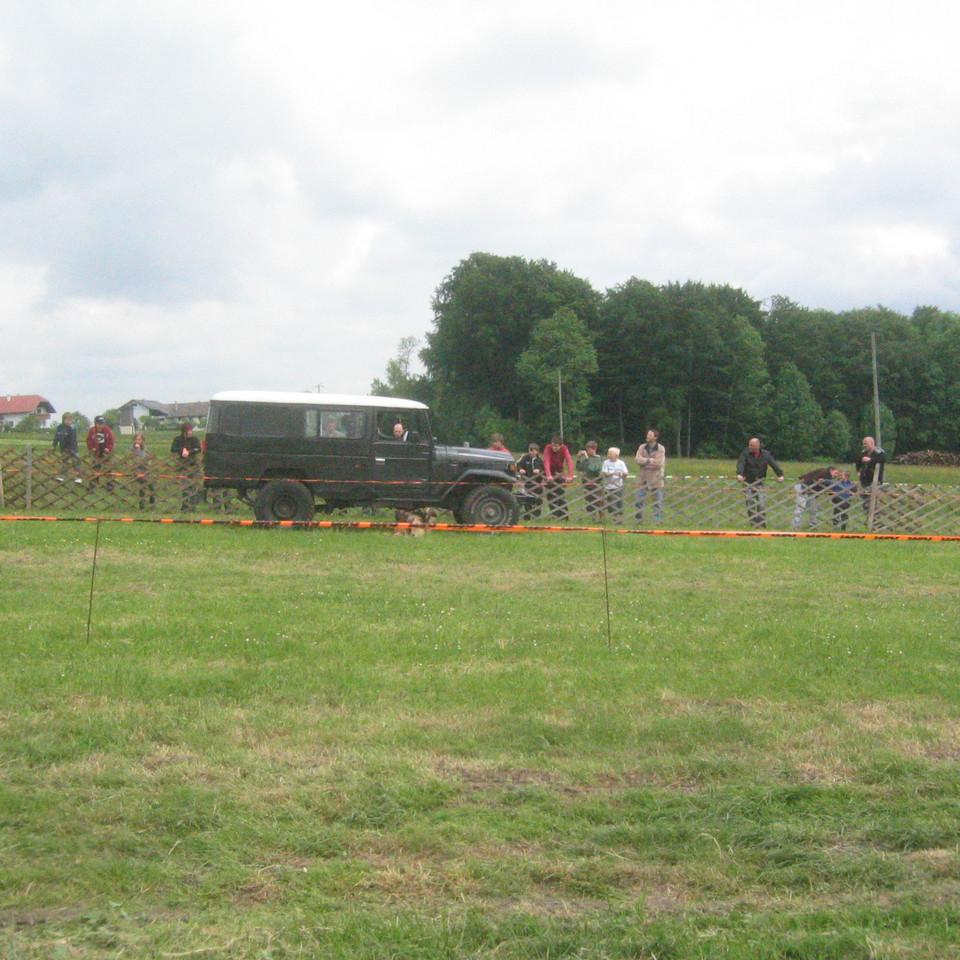 123.JPG