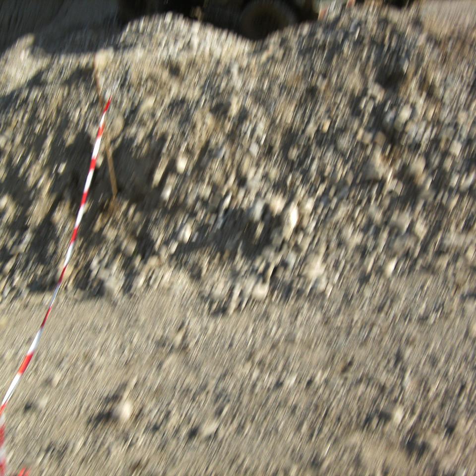 111.JPG