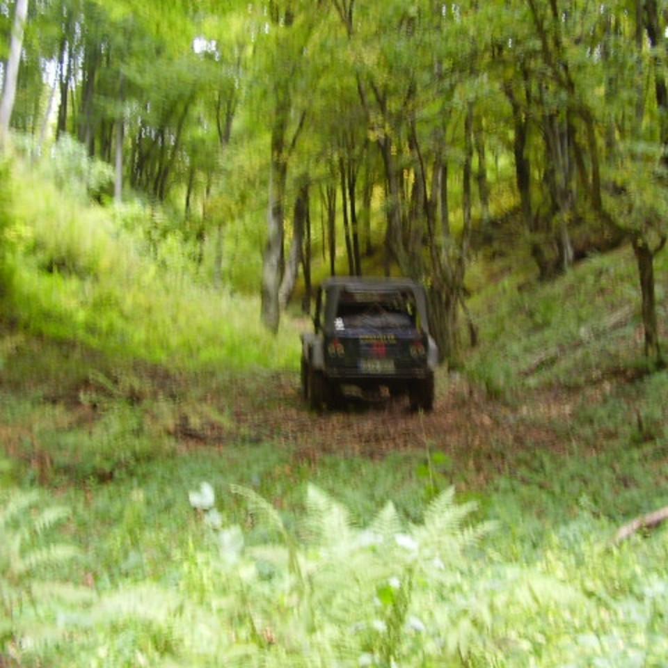 154.jpg